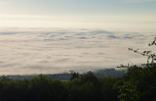 Cherier Cottage | Family house in mountain above vineyards. Large domain forest and land.