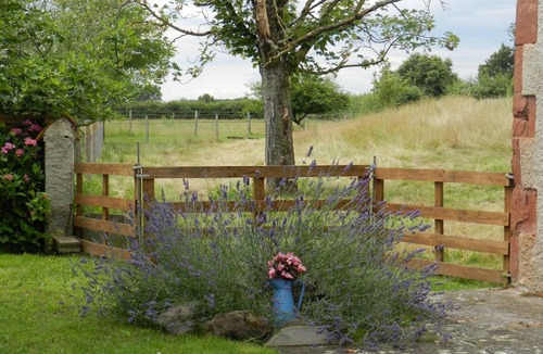 Mercy Cottage | Farmhouse with pool, pets allowed in Sologne Bourbonnaise