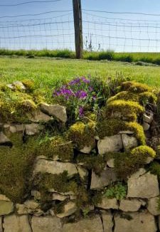 Vrecourt House | ferme des champs