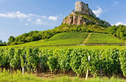 Prisse Other | Former renovated winery in the heart of the Mâconnais vineyard