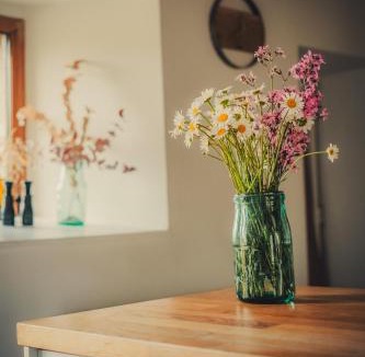 Saint-Jean-Saint-Maurice-sur-Loire Apartment | La petite maison des Pittoresques
