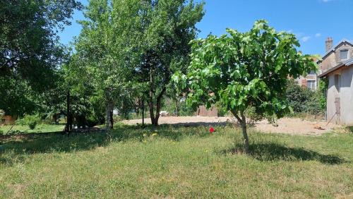 Neurey-les-la-Demie House | Gîte à la campagne