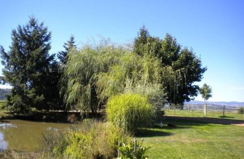 Notre-Dame-de-Boisset House | Gîte 80m² avec Terrasse, Wifi et Animaux Acceptés - FR-1-496-113