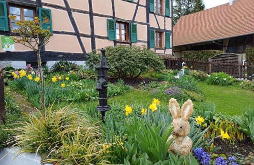 Ueberstrass House | Gîte alsacien rénové avec jardin près de la Suisse et de l'Allemagne, idéal pour familles et amis - FR-1-744-29