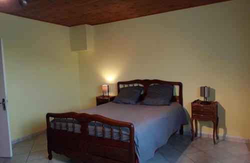 Saint-Victor-sur-Rhins House | Gîte charmant avec jardin au calme, animaux admis - FR-1-496-233