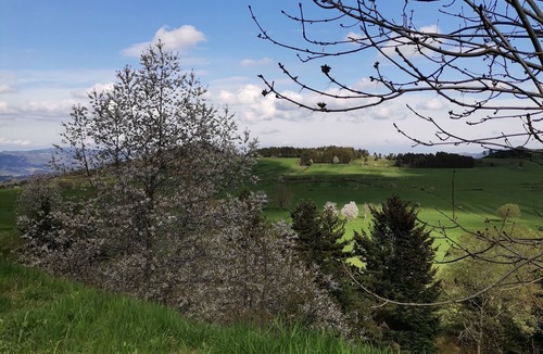 Fay-sur-Lignon Bed & Breakfast | Gîte d'étape for hikers, riders, nature and fresh air