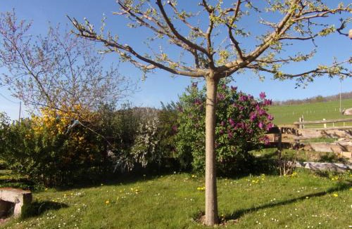 Neulise House | Gîte de campagne avec animaux acceptés près de Roanne - FR-1-496-376