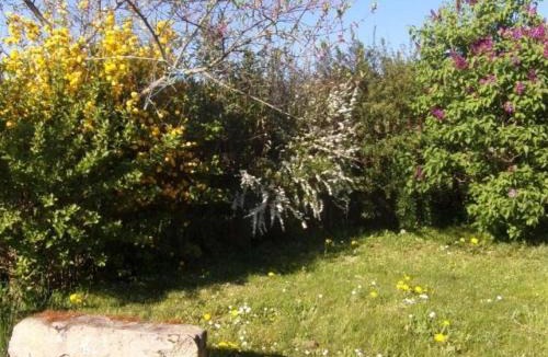 Neulise House | Gîte de campagne avec animaux acceptés près de Roanne - FR-1-496-376