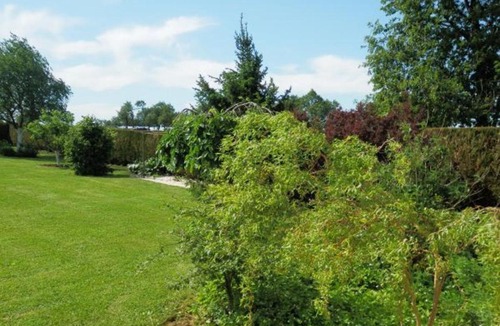 Lironcourt House | Gîte de Charme avec Terrasse près de Bourbonne-les-Bains, 2 chambres, poêle à bois, Wifi inclus - FR-1-589-118