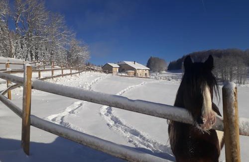 Lamoura House | Gîte des 3 Marches