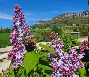 Souspierre Villa | Gîte des Falaises 8 à 10 personnes