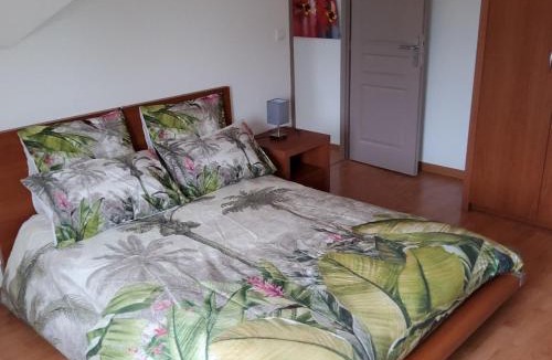 EP 2 - Le Malsaucy Apartment | Gîte du Héron- Grand appartement de 115 m2