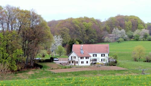 Plombieres-les-Bains House | Gîte Les Hirondelles