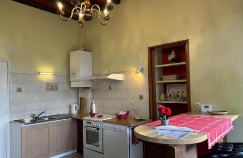 Trezelles House | Gîte lumineux dans ancienne orangerie avec jardin et barbecue - FR-1-489-281