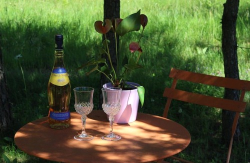 Le Chambon-sur-Lignon House | Gîte Nature au Chambon-sur-Lignon: Terrasse, Wifi, Proche Activités et Commerces - FR-1-582-137