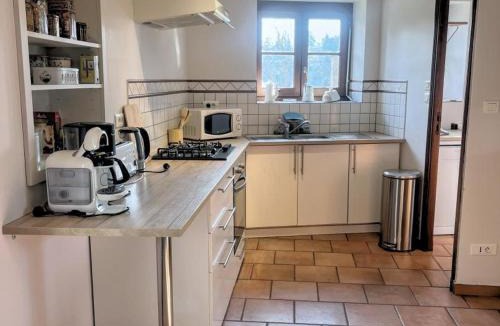 Saint-Haon-le-Vieux House | Gîte spacieux de charme à proximité de St Haon le Vieux - FR-1-496-156
