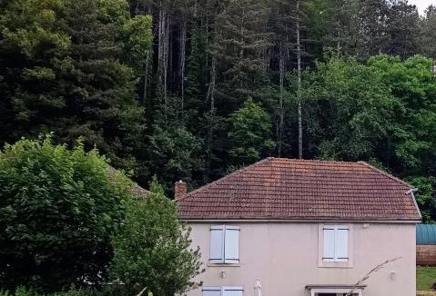 Grand Besancon House | Gîtes de l'Orée du Bois - Torpes