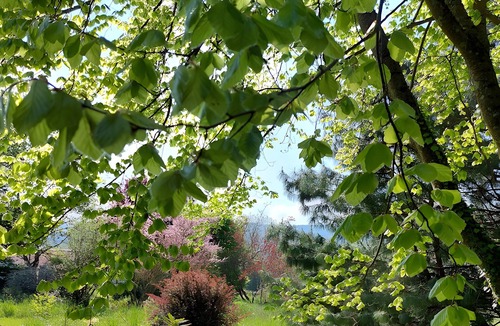 Darbonnay House | Gîte “À l’Ombre des Tilleuls” with Private Garden and Wi-Fi, Sleeps 2–4