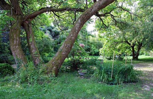 Saint-Jean-Baptiste House | Gite AUX Oiseaux