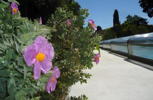 Montbrison-sur-Lez House | Gite Domaine Viticole, Pellerin