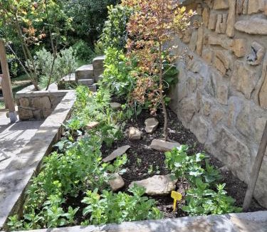 Vesseaux House | Gite OLIVIRA