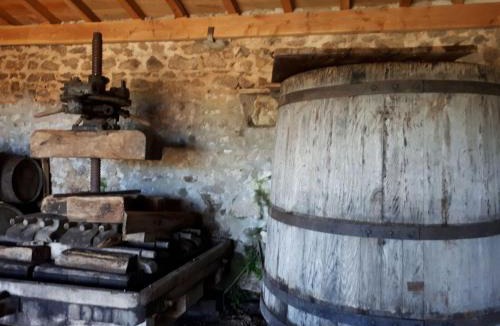 Saint Bonnet des Quarts House | Grand Gite Maison d Alice Auvergne - 15 personnes