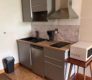Bourbonne-les-Bains Apartment | Grand studio proche commerces