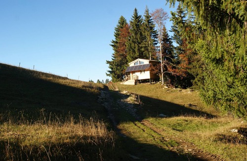 Bellecombe Bed & Breakfast | Hébergement Insolite , Cabane Autonome Perchée Dans la Végétation