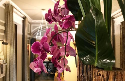 6th Arrondissement Hotel | Hôtel Recamier