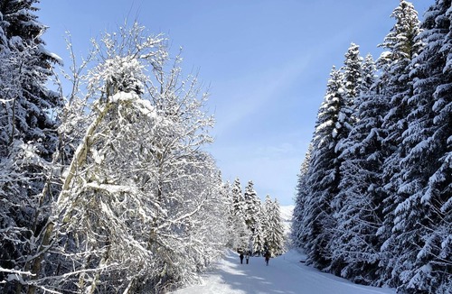 La Lechere Ski Chalet | Homerez - Chalet 1 km away from the slopes for 8 ppl. with terrace at La Léchère