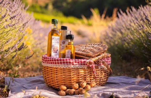 Aurel House | Homnest - Cirque des Geants - Vignoble 20 mn Die