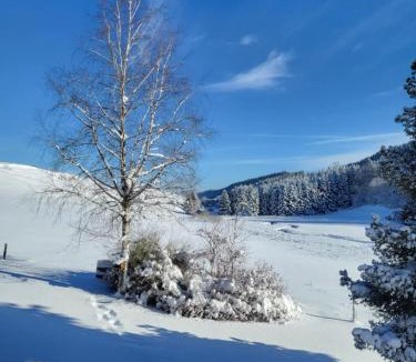 Chaux-Neuve Hotel | HOTEL Auberge du grand Git