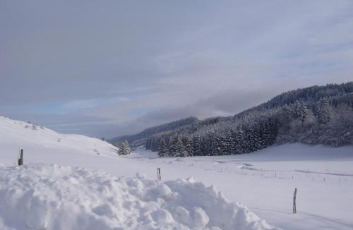 Chaux-Neuve Hotel | HOTEL Auberge du grand Git