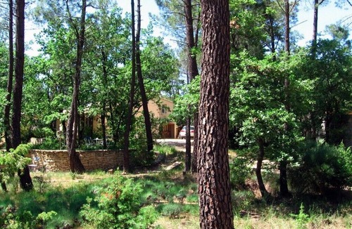 Bedoin House | House with swimming pool and private park, at the foot of Mont Ventoux in Provence