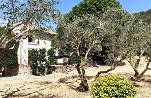 Bollene House | In Provence, lovely renovated farmhouse with swimming pool, wooded and flowered grounds