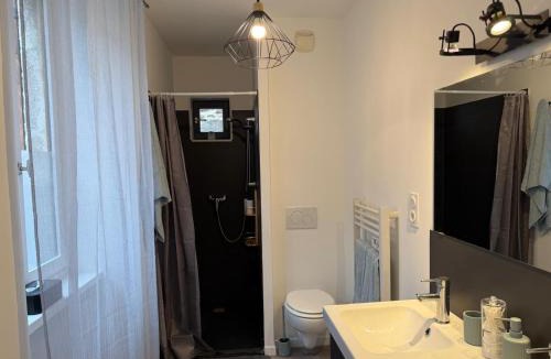 Boulieu-les-Annonay Apartment | Irrésistible - Appartement Cosy et Lumineux