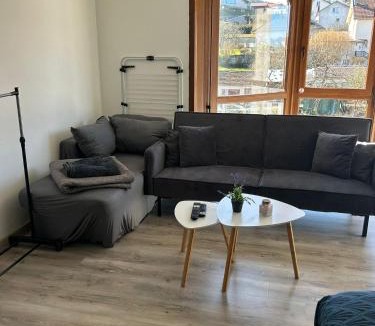 Chantraine Apartment | Joli studio une pièce 15min à pied centre dEpinal 4 personnes grâce au canapé lit, parking privé gratuit et parking extérieur gratuit Machine à laver TV wifi machine à café linge de lit et serviettes fournis