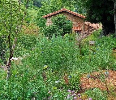 Vaudevant Bed & Breakfast | L'Abri-Gîte "Ô Jardin des Toiles"