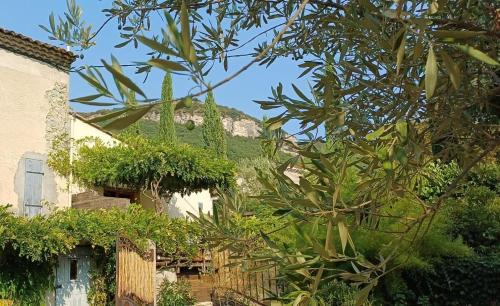 Souspierre Apartment | L'Ancienne Taverne Chambres d'hôtes et Gîtes
