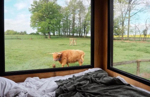 Les Hays Cabin | L'Arche des Hays - Parcel Tiny House - Tiny house entourée d'animaux dans le Jura MAE-3343