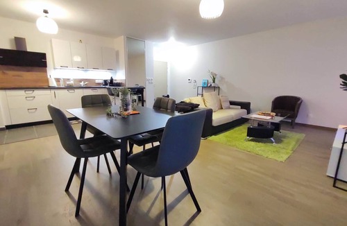 Faubourg-Raines Apartment | L'AuthentiCité, garden &parking in the city center