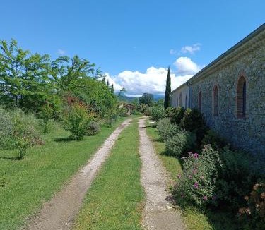 Cleon-d'Andran Bed & Breakfast | La Bohême