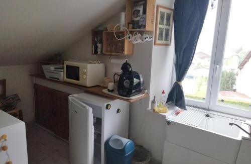 Ferdrupt House | La chambre CHAT,au coeur des Vosges