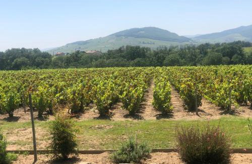 Villie-Morgon Bed & Breakfast | La Gatille