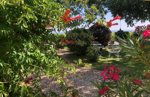 Villie-Morgon Bed & Breakfast | La Gatille