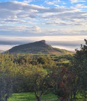 Solutre-Pouilly Bed & Breakfast | La Grange du bois