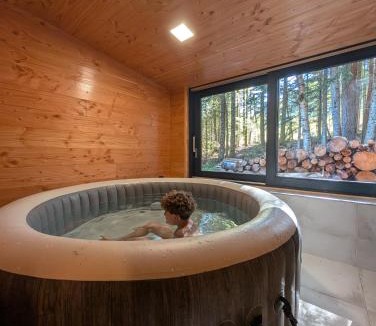 Chalmazel-Jeansagniere House | LA Jasserie, 12 pers, spa et sauna