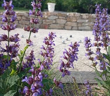 Saint-Paul-Trois-Chateaux Bed & Breakfast | la maison