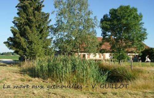 Bruailles Bed & Breakfast | La mare aux grenouilles