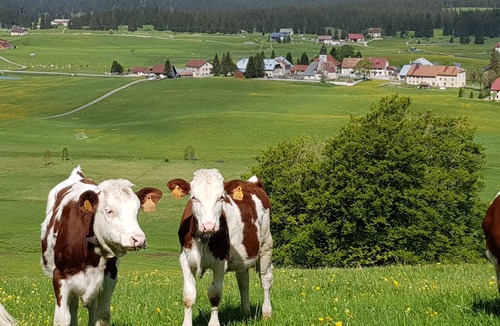 Chapelle-des-Bois Apartment | La Nature au Coeur de vos Vacances.dans le Parc Naturel du Haut Jura